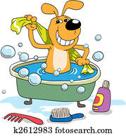 Bathing of a puppy Bathing of a puppy