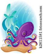 octopus octopus