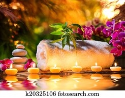 spa, massagem, em, jardim, -, água