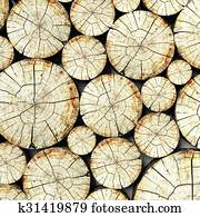 Cross section tree stump, trunk background
