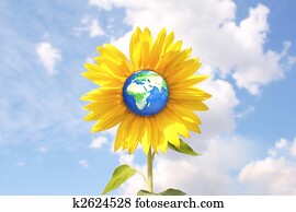 Environment Environment