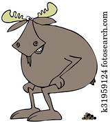 Moose squatting to poop Moose squatting to poop