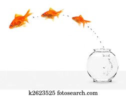 three goldfishes escaping from fishbowl
