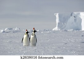 Antarctic Christmas Antarctic Christmas