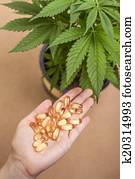 cannabis, e, medicina