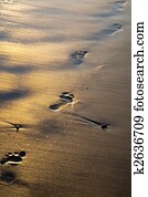 footprints
