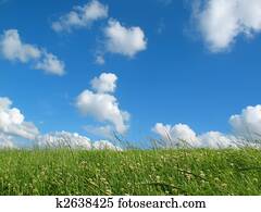 Grassland with blue sky Grassland with blue sky