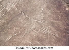Nazca, linhas, hummingbird