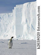 Penguin with iceberg Penguin with iceberg