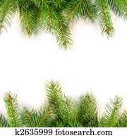 Stock Images of Pine branch with cone isolated on white background