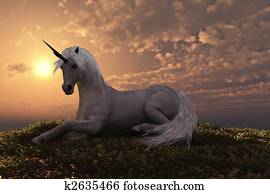 UNICORN UNICORN