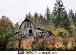 Barn Barn