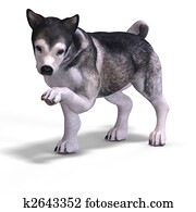 cute puppy malamute cute puppy malamute