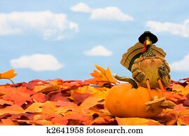 feliz, ação graças