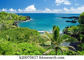 havaí, paraisos, ligado, maui, ilha