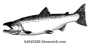 King Salmon King Salmon