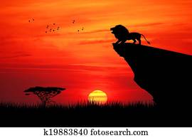 Lion on rope at sunset Lion on rope at sunset
