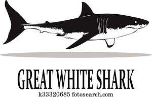 Sharks. Sharks.