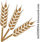 Wheat ears Wheat ears