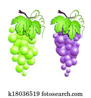 grapes grapes