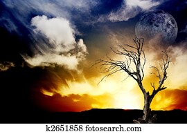 Sunset Sunset