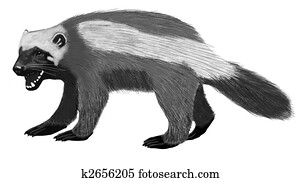 Wolverine Wolverine