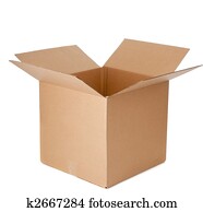 An open empty cardboard box