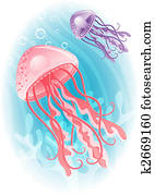 jellyfish jellyfish