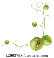 leaf leaf
