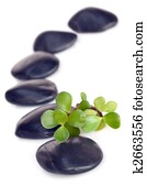 Massage Stones with Jade