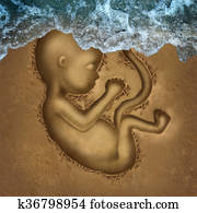 Miscarriage Miscarriage