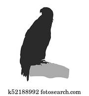 Silhouette of eagle. Silhouette of eagle.