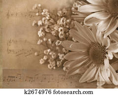 Love Song Love Song