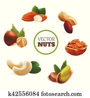 Nuts Clip Art | nuts | Fotosearch