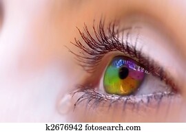 Vision Vision
