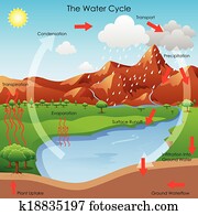 Water Cycle Water Cycle
