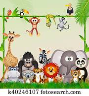 wild animals in the jungle wild animals in the jungle