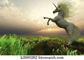 UNICORN STAG UNICORN STAG
