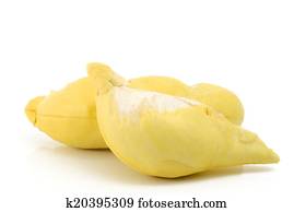 Durian