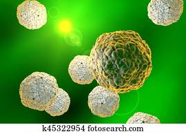 Hepatitis A virus, illustration Hepatitis A virus, illustration