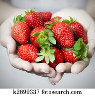 Strawberries Strawberries
