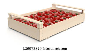 tomato in crates tomato in crates