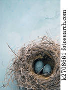 Eggs In a Nest Eggs In a Nest