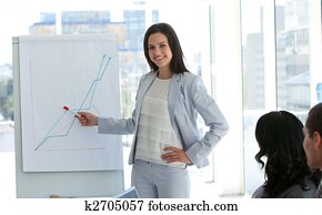 executiva, elaboração do relatório, para, figuras vendas