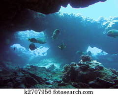 In the deep In the deep