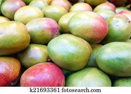 mango mango