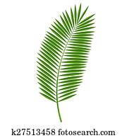 Palm Leaf Vector Illustration