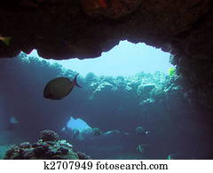 Underwater Cave Images | Our Top 1000+ Underwater Cave Stock Photos