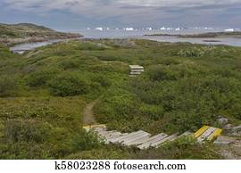 hiking path on Fogo Island, Newfoundland