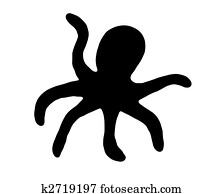 Octopus Octopus